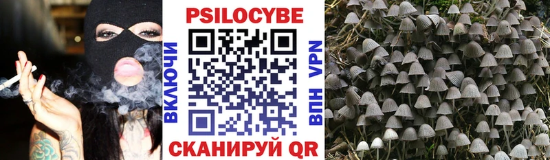 mega зеркало  Холмск  маркетплейс клад  дарнет шоп  Галлюциногенные грибы Psilocybe 